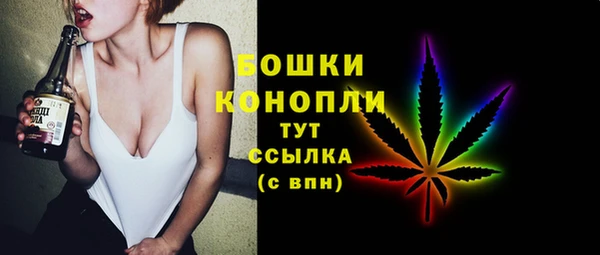 шишки Алзамай