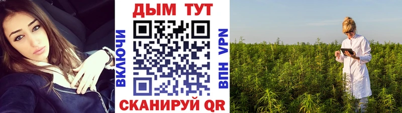 купить наркотики цена Курск Шишки марихуана индика